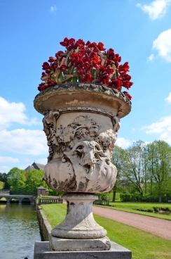 Amaryllis 2017A (116)