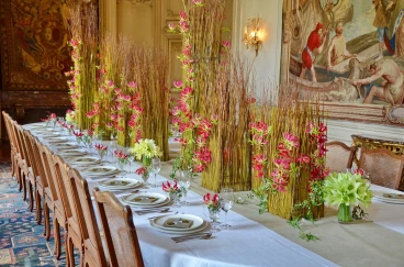 Amaryllis 2017A (097)