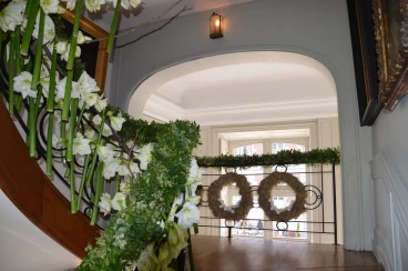 Amaryllis 2017A (067)