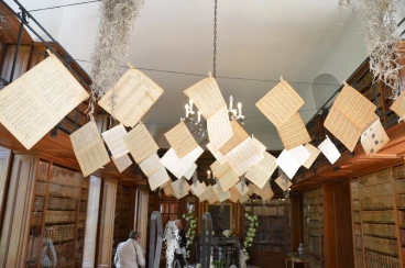 Amaryllis 2017A (077)