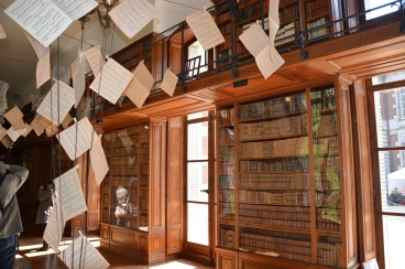 Amaryllis 2017A (073)