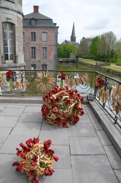 Amaryllis 2017B (204)