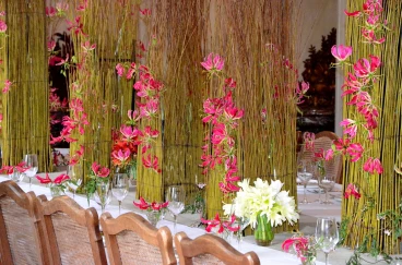 Amaryllis 2017B (181)