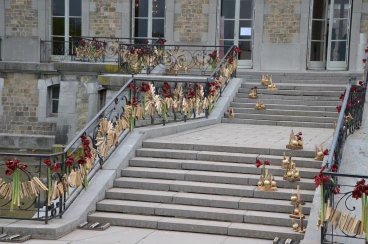 Amaryllis 2017B (195)