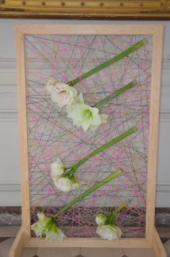 Amaryllis 2017B (150)