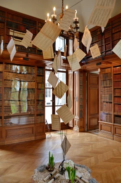 Amaryllis 2017B (165)