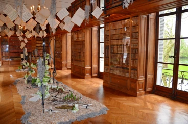 Amaryllis 2017B (171)