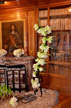 Amaryllis 2017B (169)