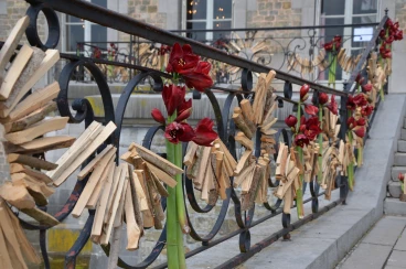 Amaryllis 2017B (201)