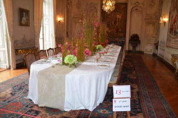 Amaryllis 2017B (184)