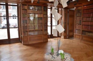 Amaryllis 2017B (167)