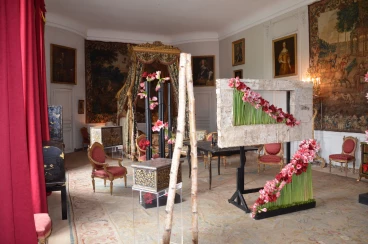 Amaryllis 2017B (142)