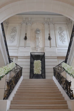 Amaryllis 2017B (120)