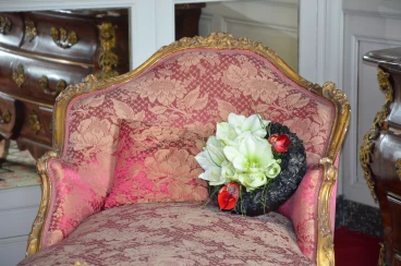 Amaryllis 2017B (139)