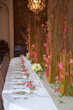 Amaryllis 2017B (183)