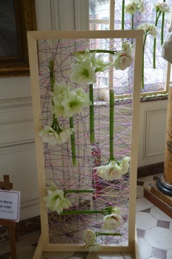 Amaryllis 2017B (147)