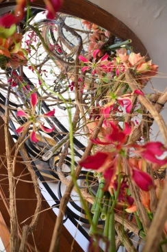 Escalier 05-05-18 13-14-31