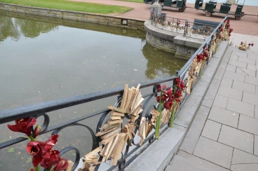 Amaryllis 2017B (193)