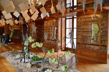 Amaryllis 2017B (166)