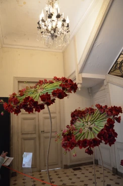 Amaryllis 2024 (044)