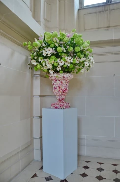 Amaryllis 2024 (013)