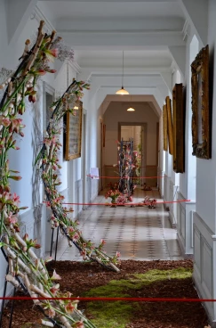 Amaryllis 2024 (054)