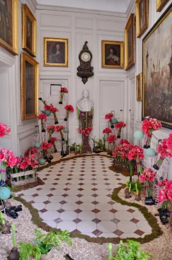 Amaryllis 2024 (037)