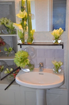 Amaryllis 2024 (078)