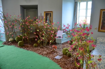 Amaryllis 2024 (049)