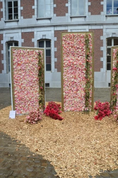 Amaryllis 2024 (002)