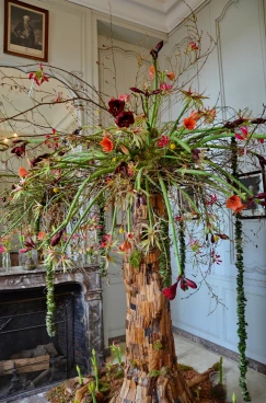 Amaryllis 2024 (016)