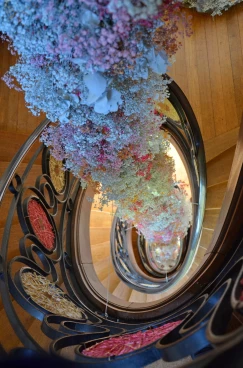 Amaryllis 2024 (085)