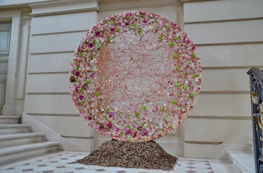 Amaryllis 2024 (012)