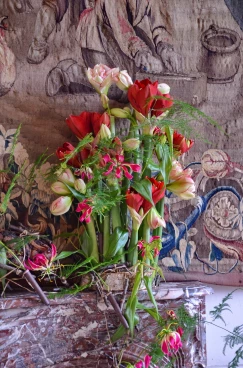 Amaryllis 2024 (035)