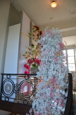 Amaryllis 2024 (083)