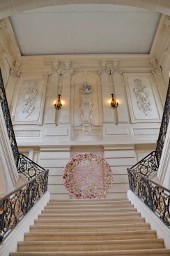 Amaryllis 2024 (005)