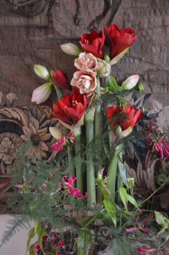 Amaryllis 2024 (034)