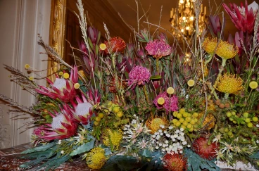 Amaryllis 2024 (134)