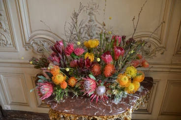 Amaryllis 2024 (135)