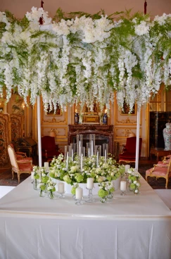 Amaryllis 2024 (147)