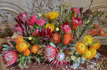 Amaryllis 2024 (136)