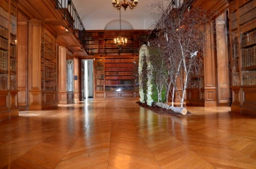 Amaryllis 2022 (057)