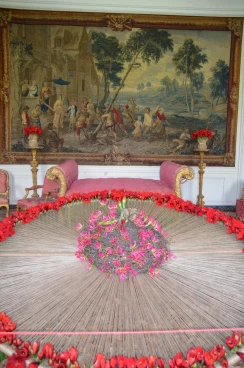 Amaryllis 2022 (021)