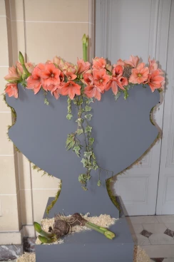 Amaryllis 2022 (158)