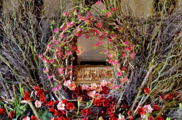 Amaryllis 2022 (024)