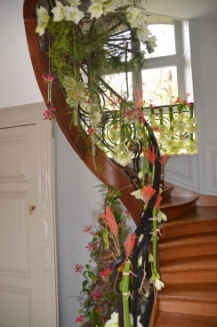 Amaryllis 2022 (063)