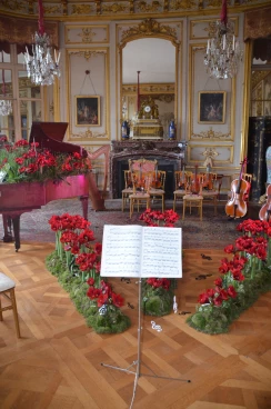 Amaryllis 2022 (165)