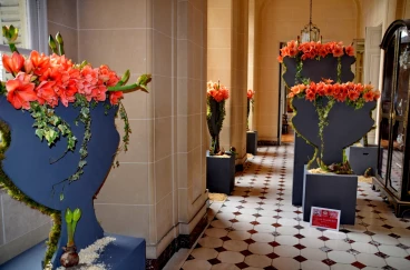 Amaryllis 2022 (067)