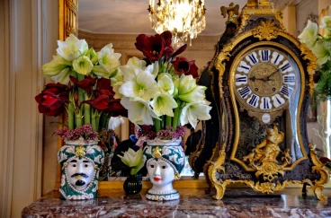 Amaryllis 2022 (071)