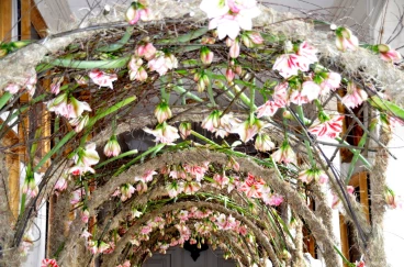 Amaryllis 2022 (040)